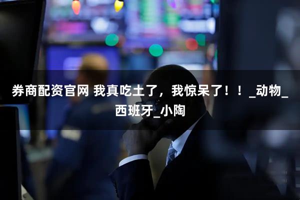 券商配资官网 我真吃土了，我惊呆了！！_动物_西班牙_小陶