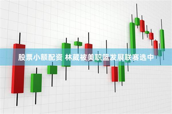 股票小额配资 林葳被美职篮发展联赛选中