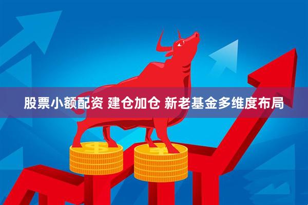股票小额配资 建仓加仓 新老基金多维度布局