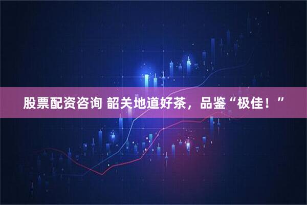 股票配资咨询 韶关地道好茶，品鉴“极佳！”